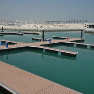 dilmunia marina